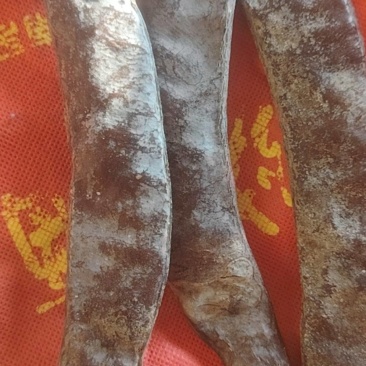 皂角
