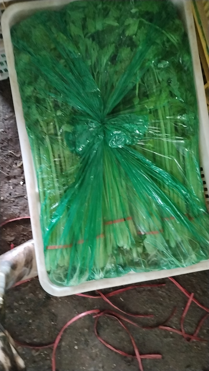 香芹