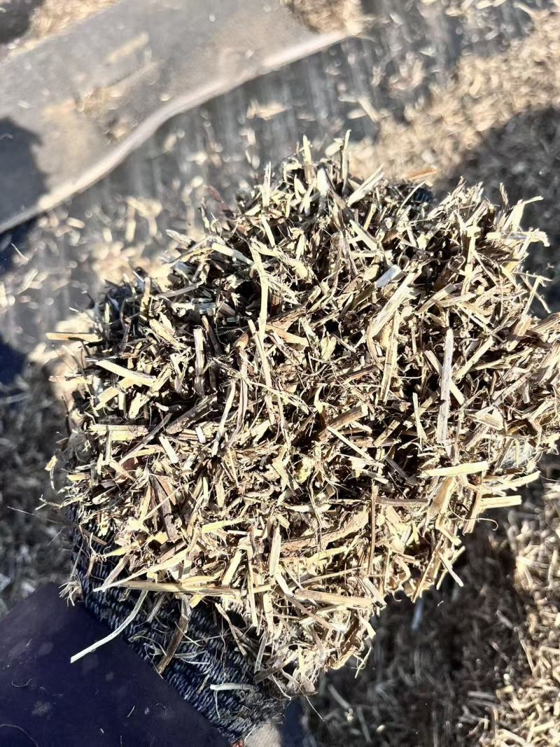 花生秧