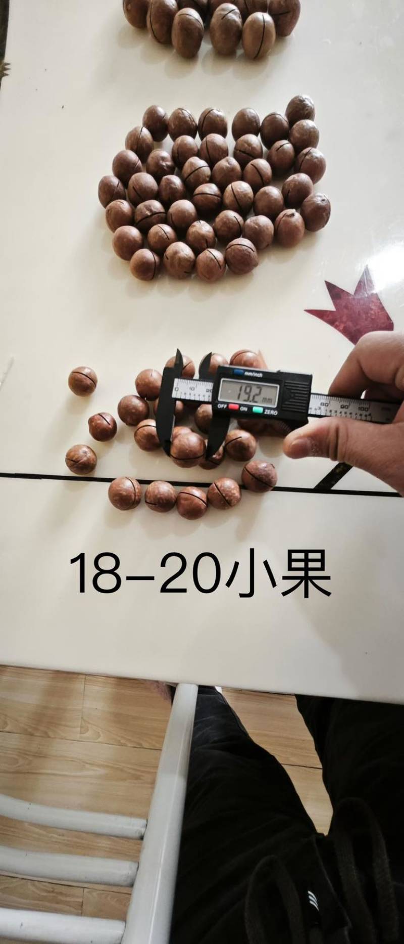 新品夏威夷果，现货充足，电商一件代发