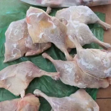 二级鸭腿，D腿，不分级，大小都有
