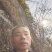 野生骨碎补