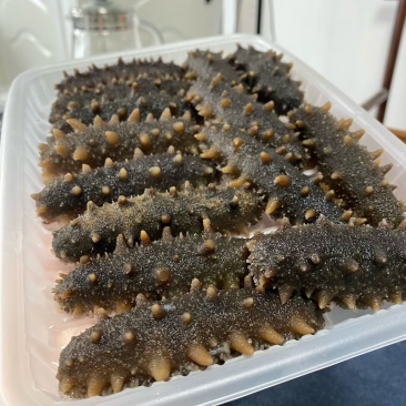 威海即食海参