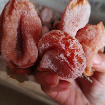 陕西富平柿饼农户