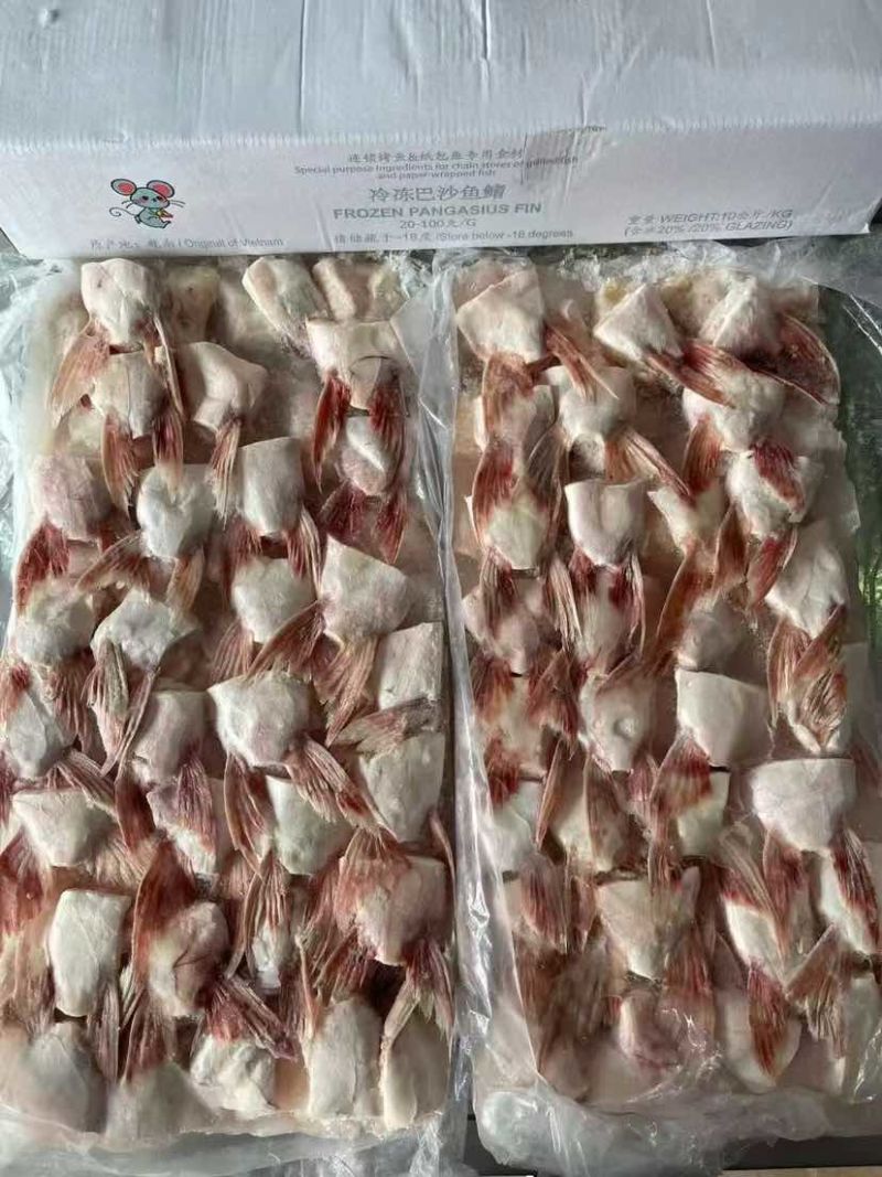 鱼鳍