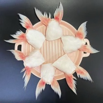 鱼鳍