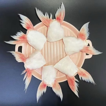 鱼鳍