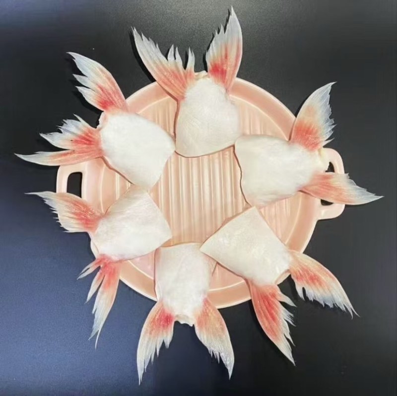 鱼鳍