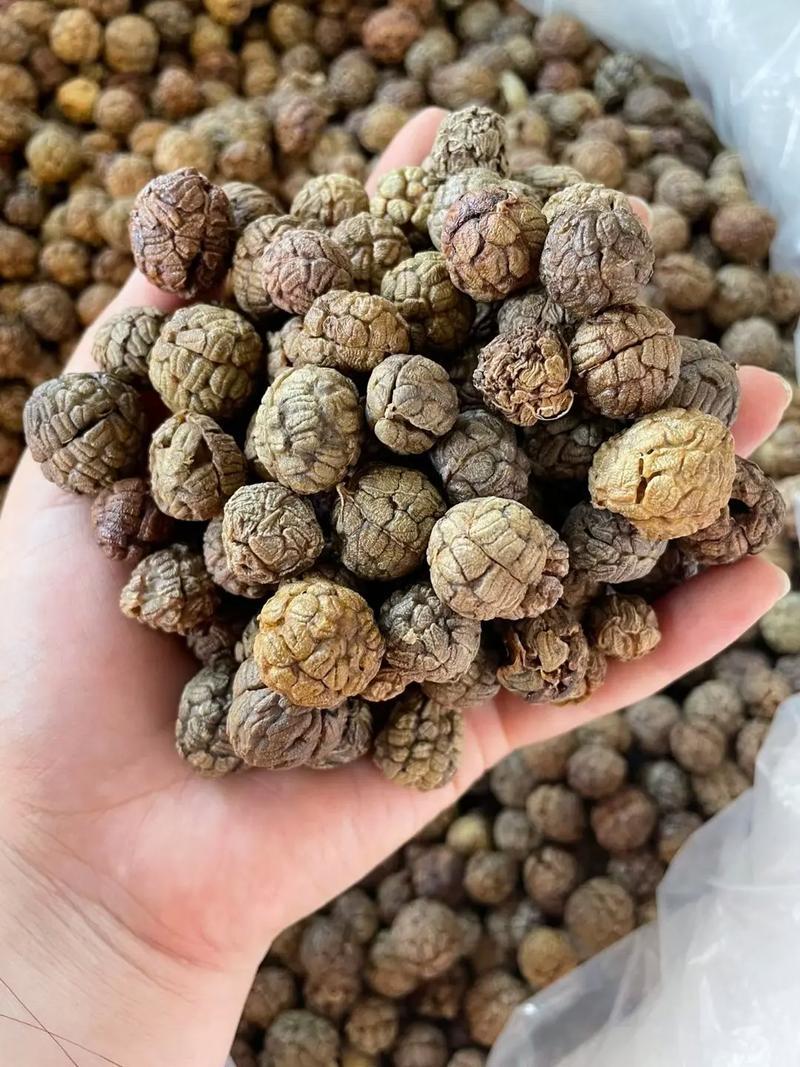 草寇香料
