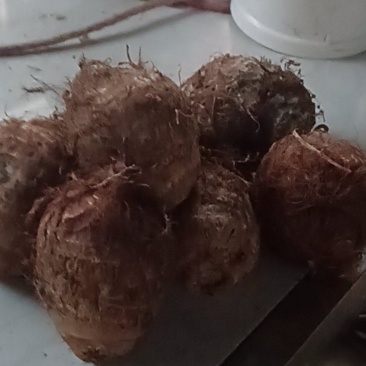 芋头，洋脂芋头