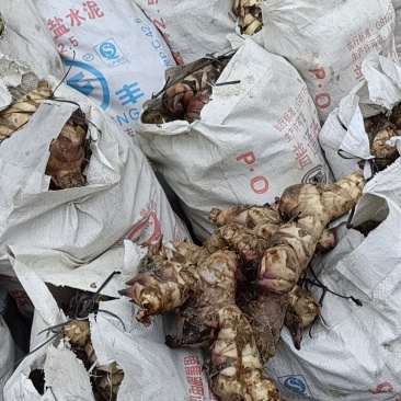 雷山县永乐镇纯手工水芋粉