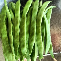 有各种各样的价格，豆类。