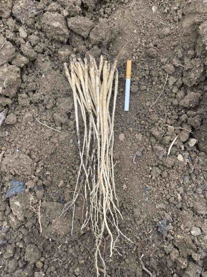 各种规格都有需要的老板下手了