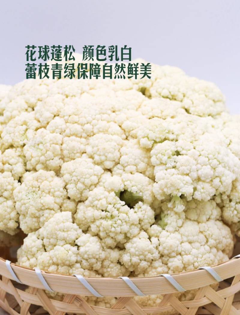 基地直供新鲜散花现砍现发量大价优