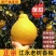 永州江永沙田柚