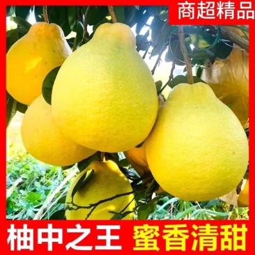 永州江永沙田柚