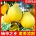 永州江永沙田柚