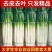 【精品铁杆大葱】山东大葱现挖新鲜特级大葱农家便宜蔬菜正宗批发