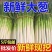 【精品铁杆大葱】山东大葱现挖新鲜特级大葱农家便宜蔬菜正宗批发