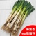 【精品铁杆大葱】山东大葱现挖新鲜特级大葱农家便宜蔬菜正宗批发
