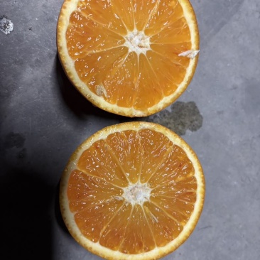 血橙通货60起电商一件发但是OK的