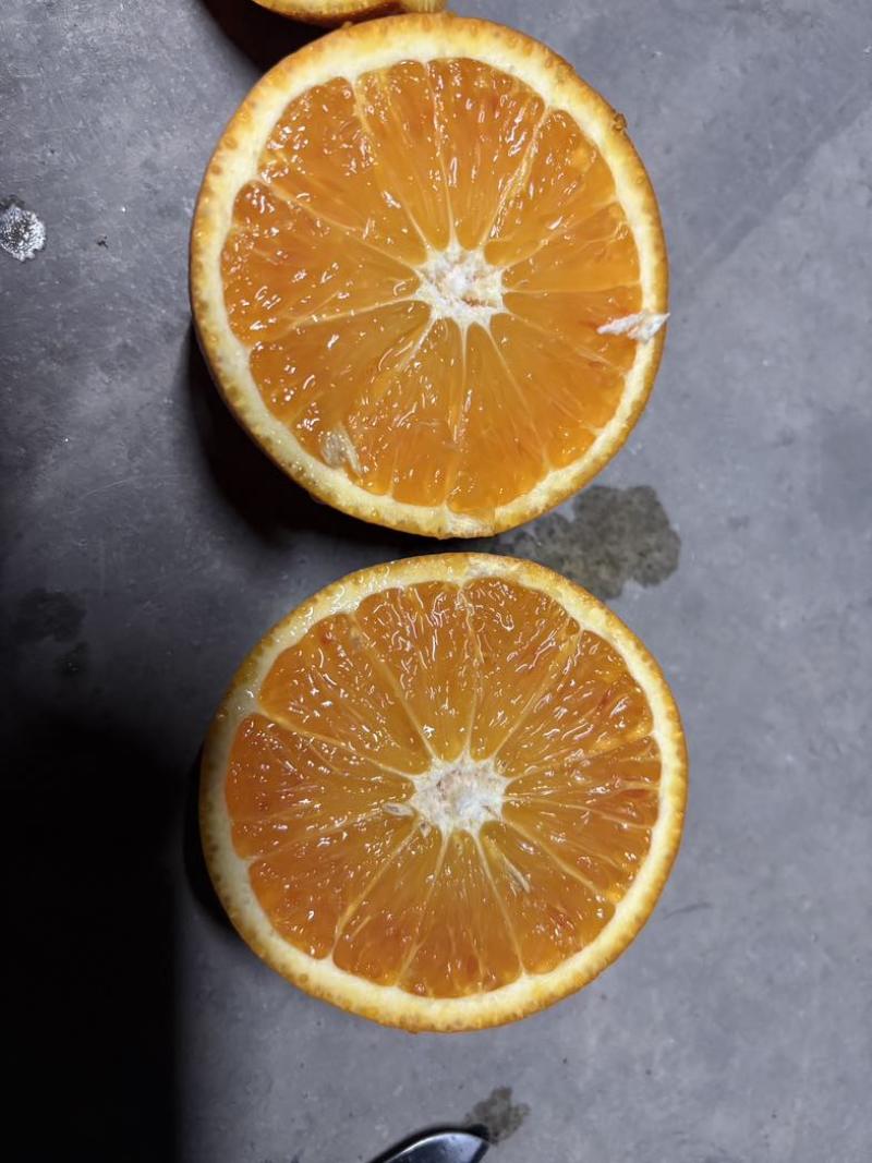 血橙通货60起电商一件发但是OK的