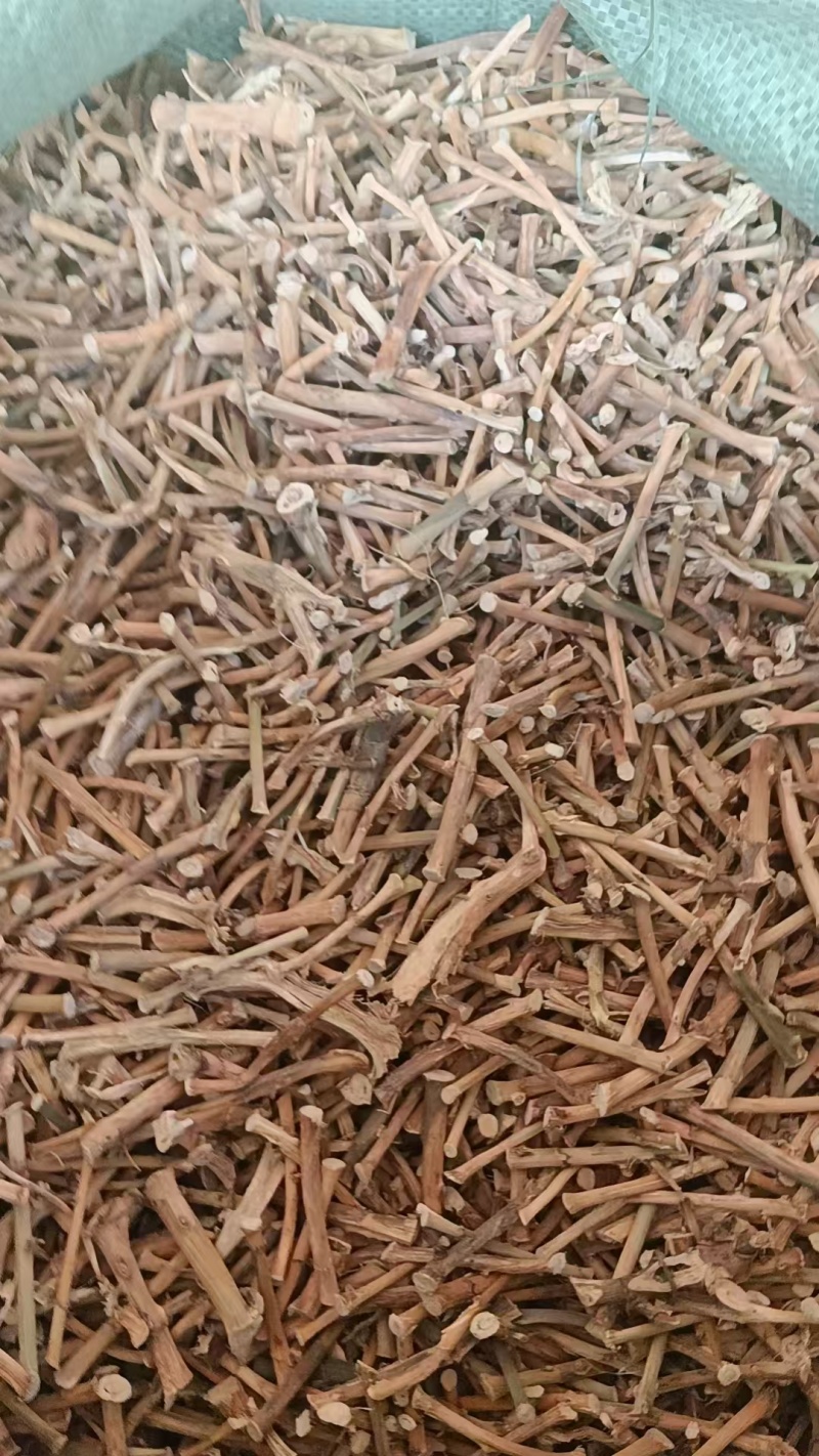 野生春砂仁根