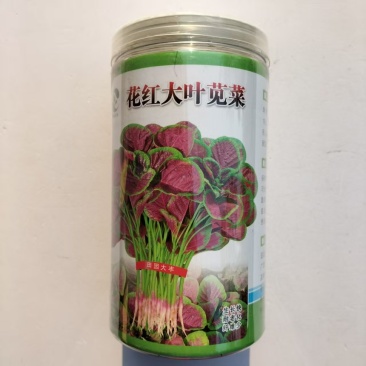 田园大丰红花大叶苋菜种子早熟圆形花红苋菜耐热耐湿一点红苋菜种