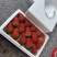 河北保定市顺平久久草莓🍓