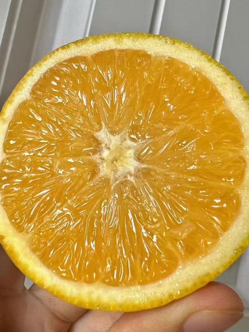 赣南脐橙