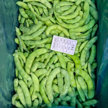 东北正宗黑土地油豆角