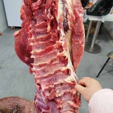 农村散养黄牛肉