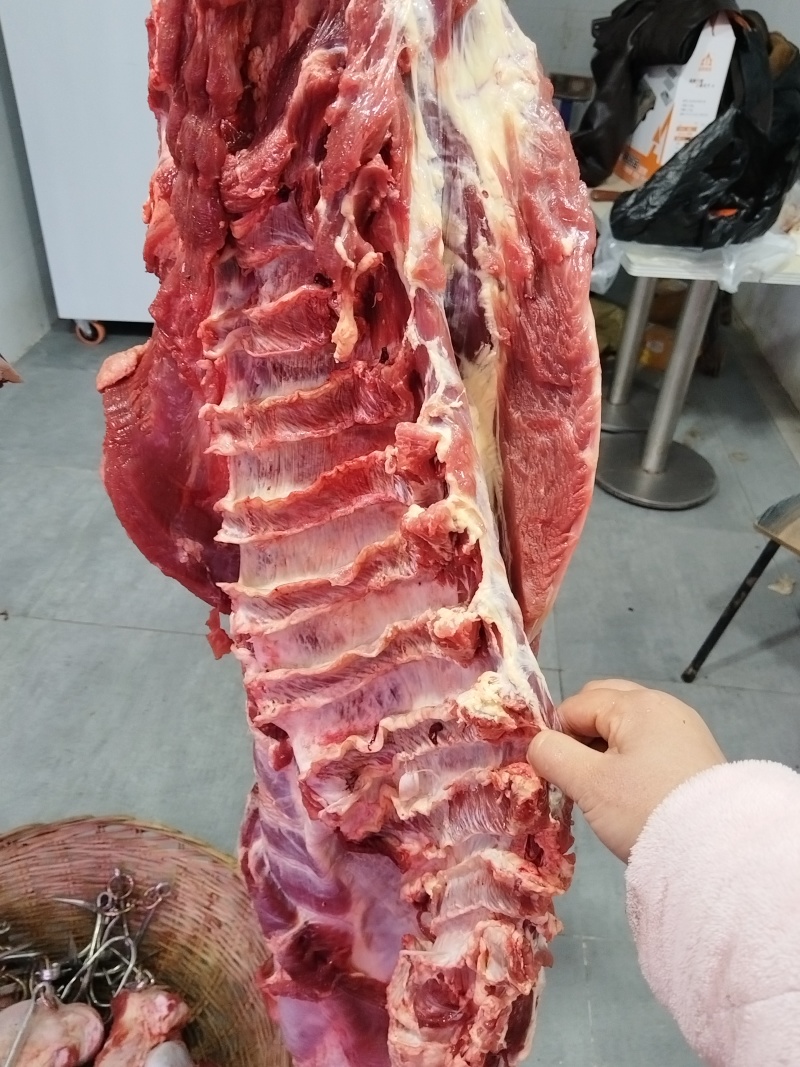 农村散养黄牛肉