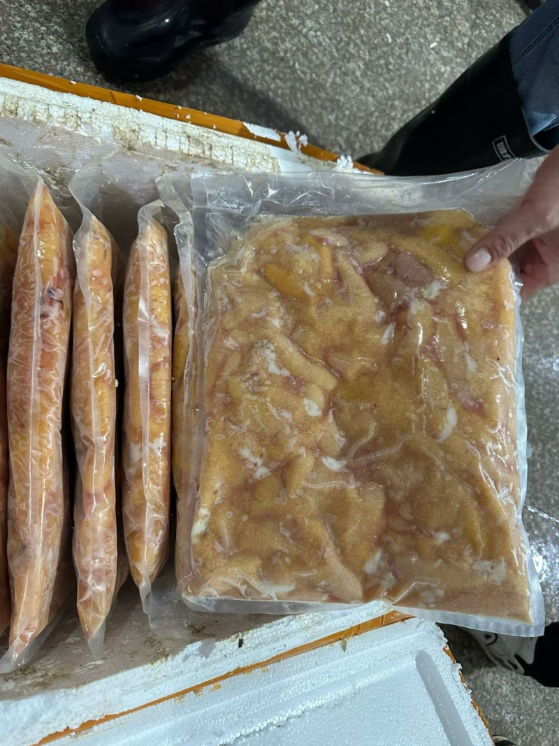 精品鲈鱼籽