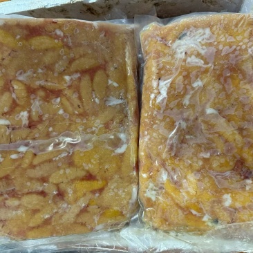 精品鲈鱼籽