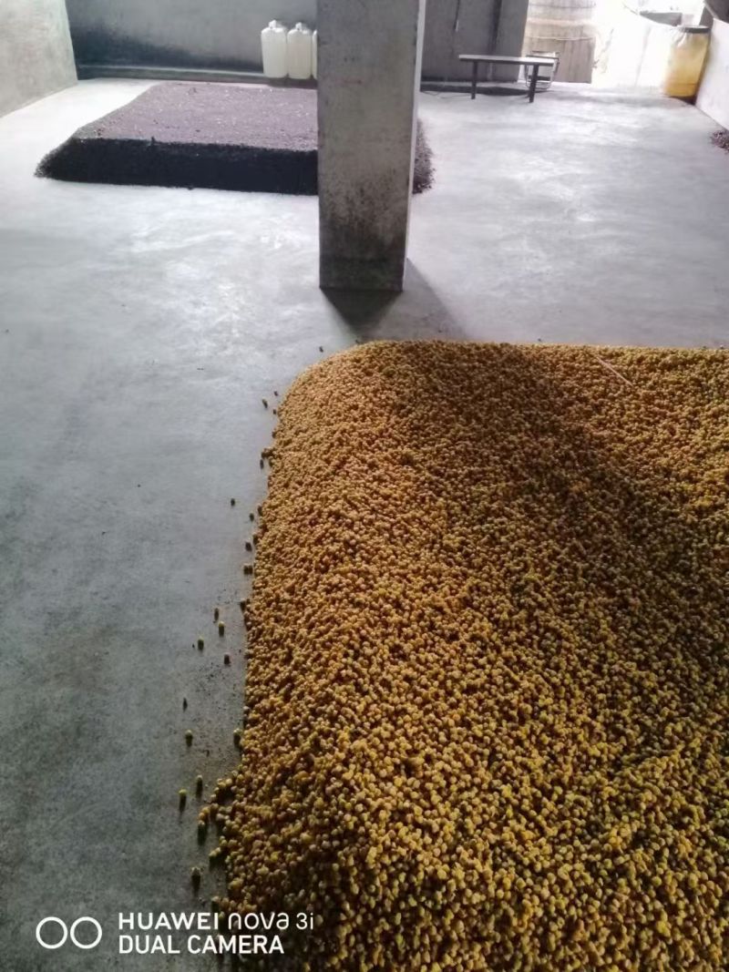 工厂直供高粱酒包谷酒！纯粮白酒！