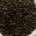 父母采摘油茶籽已经完全晒干，900斤，野生，出油量高！