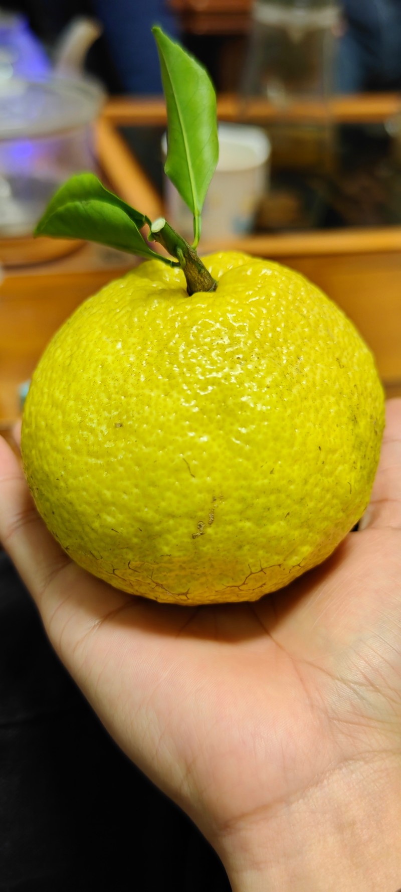 黄金贡柚