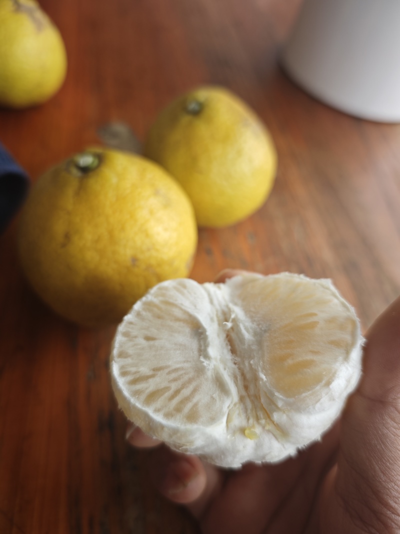 黄金贡柚