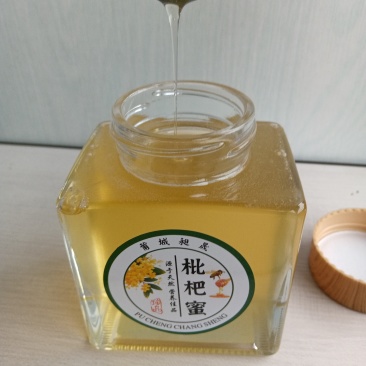 莆田枇杷土蜂蜜