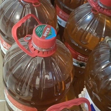 高山小红花油茶