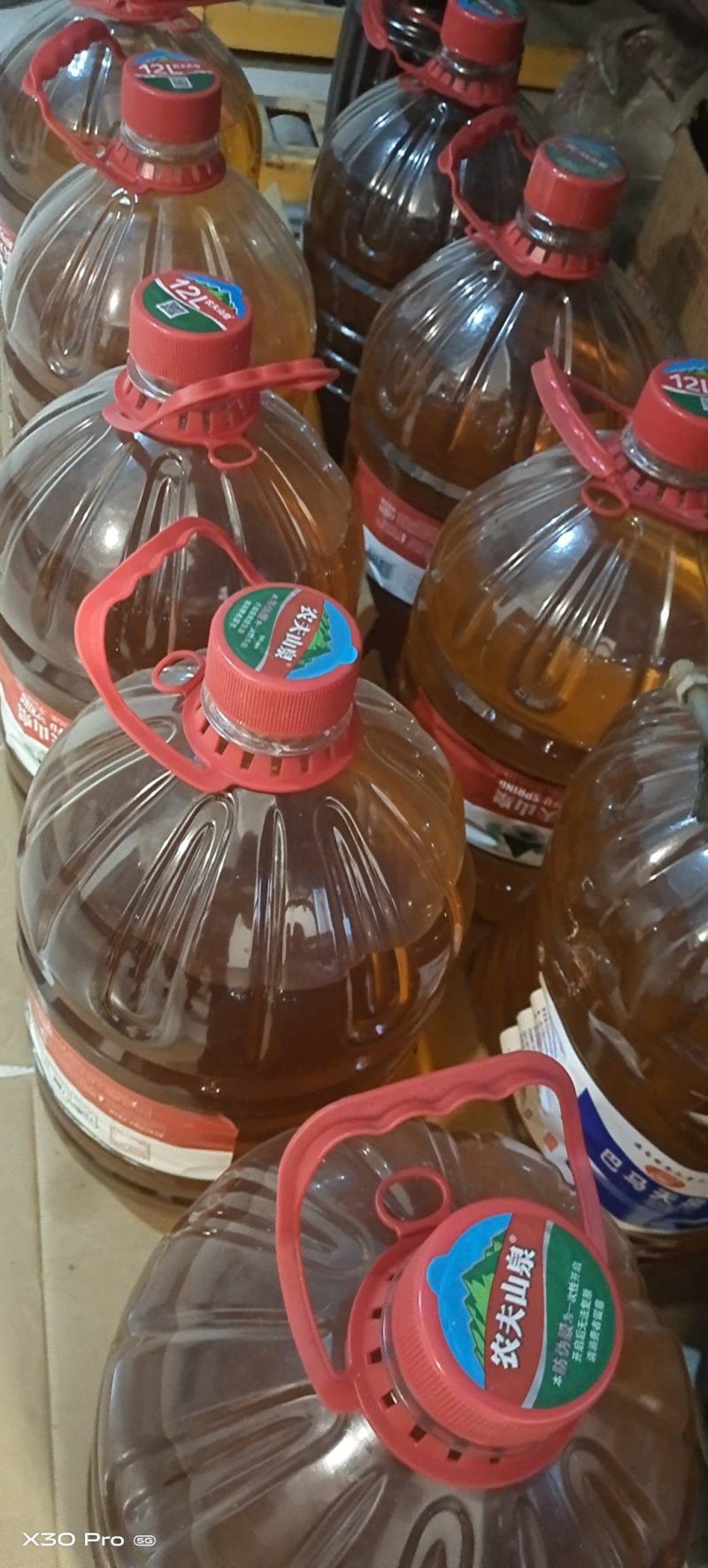高山小红花油茶