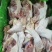 带脖肉鸡架，头脖老鸡架子