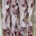 带脖肉鸡架，头脖老鸡架子