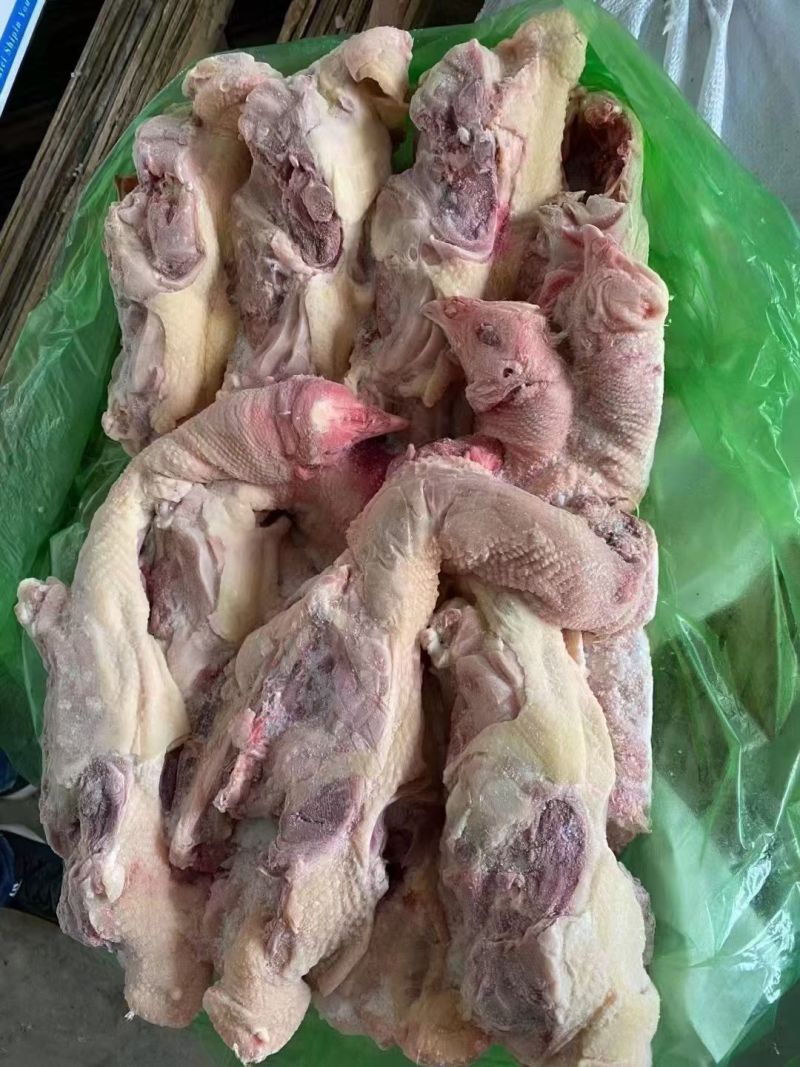 带脖肉鸡架，头脖老鸡架子