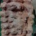 带脖肉鸡架，头脖老鸡架子