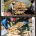 纯藕粉，******剂绿色食品含量100%，纯手工炮制晾晒，