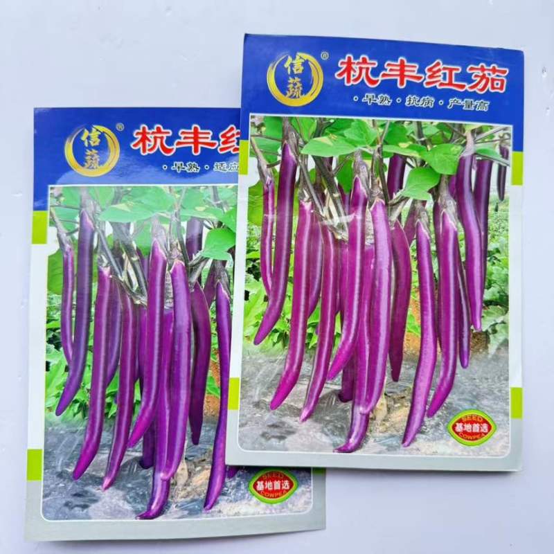 航丰紫优长剑紫红长茄种籽子春秋季四季阳台盆栽蔬菜种农家春秋播