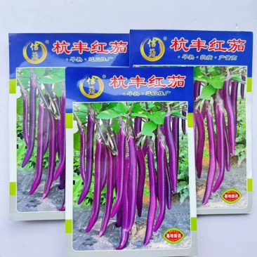 航丰紫优长剑紫红长茄种籽子春秋季四季阳台盆栽蔬菜种农家春秋播