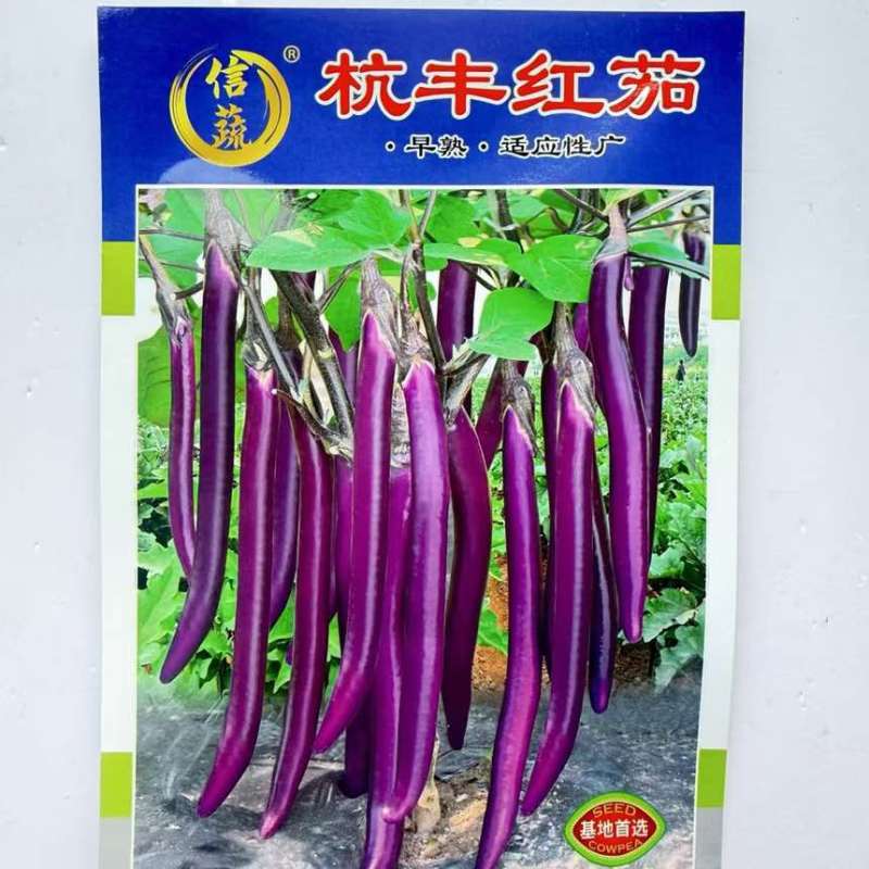 航丰紫优长剑紫红长茄种籽子春秋季四季阳台盆栽蔬菜种农家春秋播